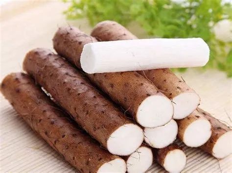 山藥養(yǎng)生：解鎖“春補之王”的智慧